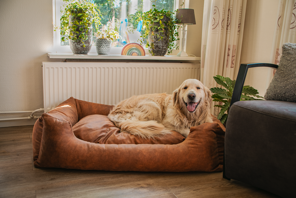 Let's Sleep Sweet Dreams Hundekorb Mit Kissen L Cognac