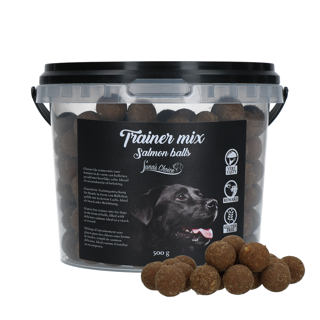 Luna's Choice Trainer Mix Lachsbällchen (glutenfrei)