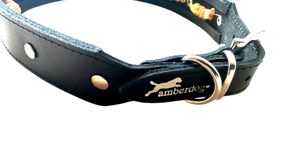 Hunde Lederhalsband mit integrierter Bernsteinkette - TierVita