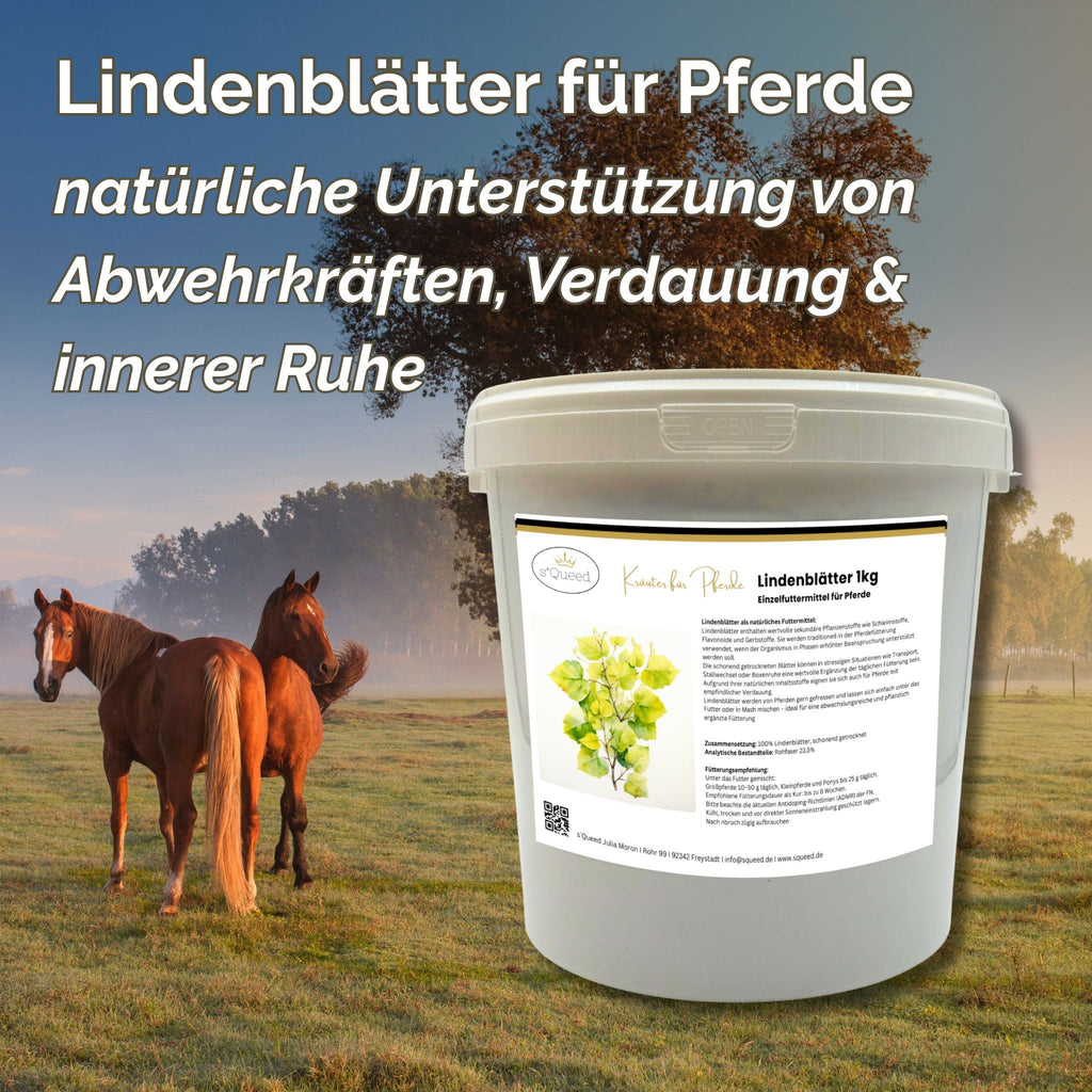 Lindenblätter Pferd 1kg - TierVita