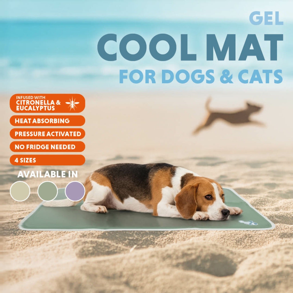 Kühlmatte Hund L 60×90 cm – CoolPets Premium Gel mit Citronella & Eukalyptus