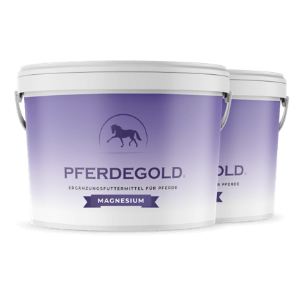 Pferdegold® Magnesium – Dreifach-Magnesium-Formel für Pferde 1,5 kg