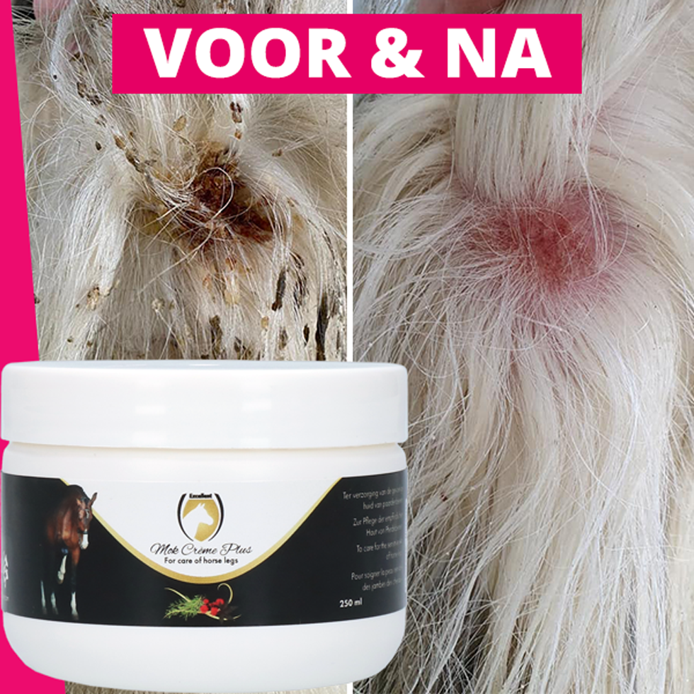 Excellent Horse Mud Fever Cream Plus – Pflegecreme für Mauke & gereizte Pferdebeine, 250 ml