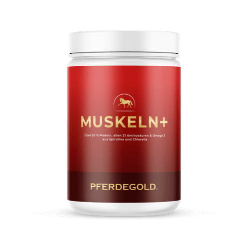 Pferdegold® Muskeln+ 2.0 – Muskelaufbau-Ergänzung für Pferde mit pflanzlichen Proteinen