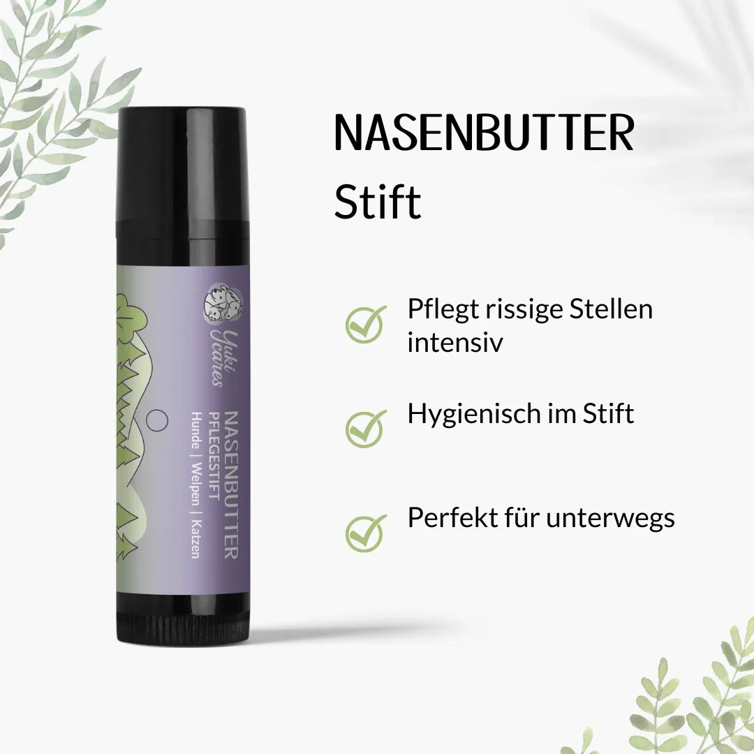 Nasenbutter Pflegestift