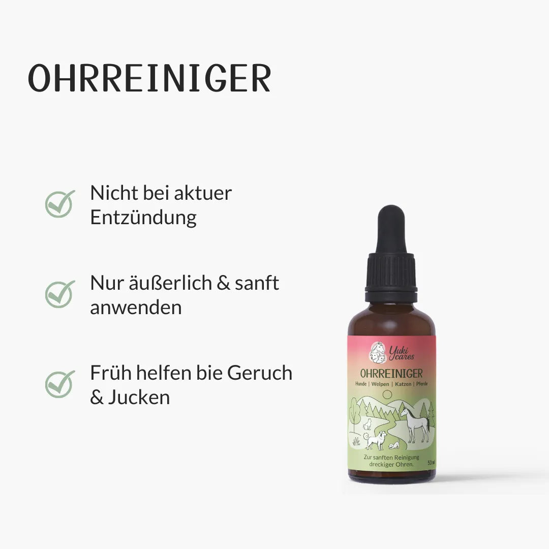 Ohrreiniger