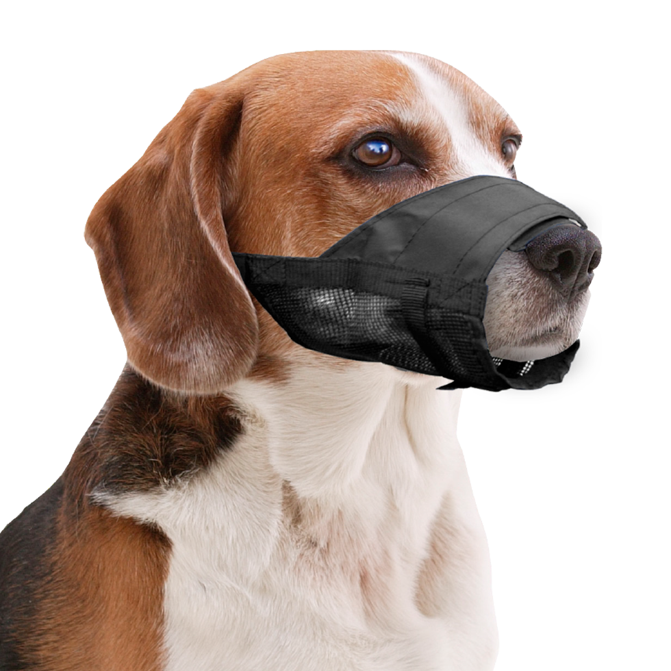 Pawise Adjustable Nylon Muzzle XL