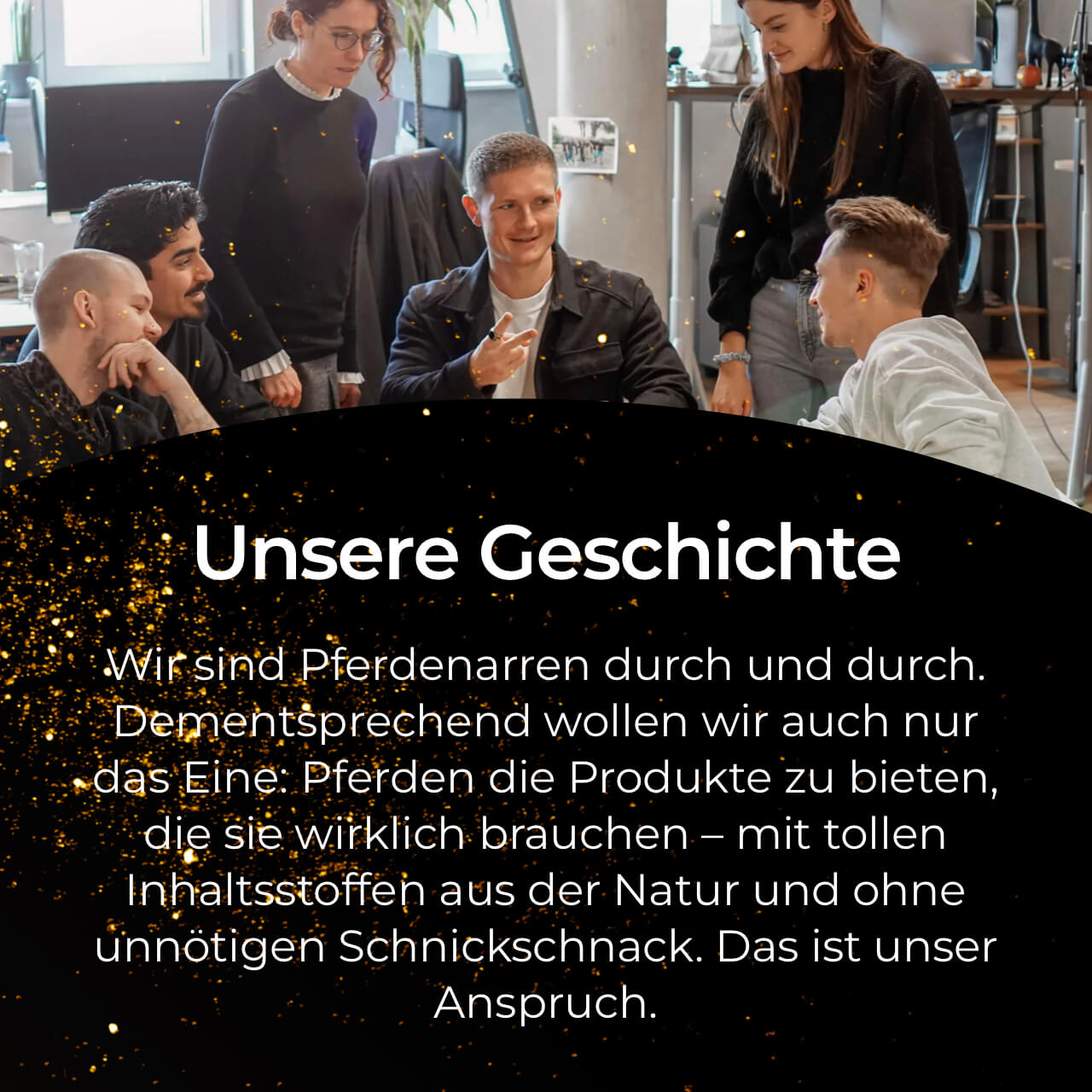 Pferdegold® Insektenschutzspray – Bremsenspray für Pferde 500 ml