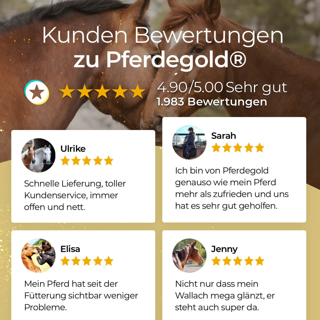 Pferdegold® Darm Akut – Ergänzungsfutter für die Verdauung des Pferdes 750 g