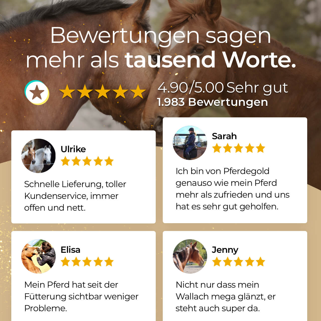 Pferdegold® Glanzbürste – Fellpflegebürste für glänzendes Pferdehaar