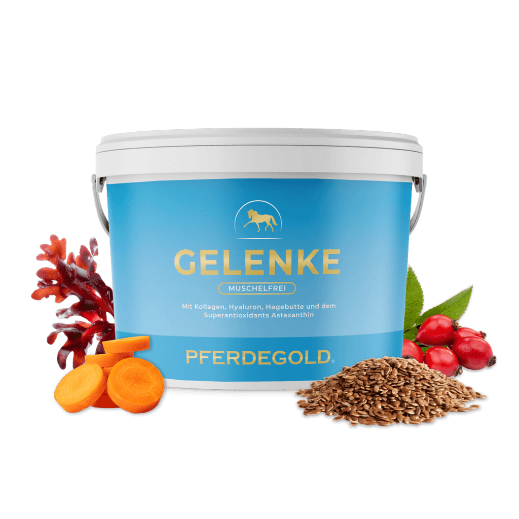 Pferdegold® Gelenke Muschelfrei 2.0 – Gelenknahrung für Pferde ohne Grünlippmuschel