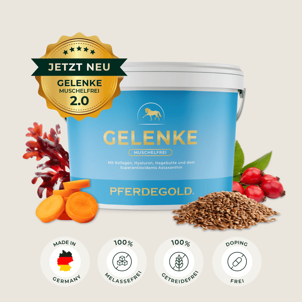 Pferdegold® Gelenke Muschelfrei 2.0 – Gelenknahrung für Pferde ohne Grünlippmuschel