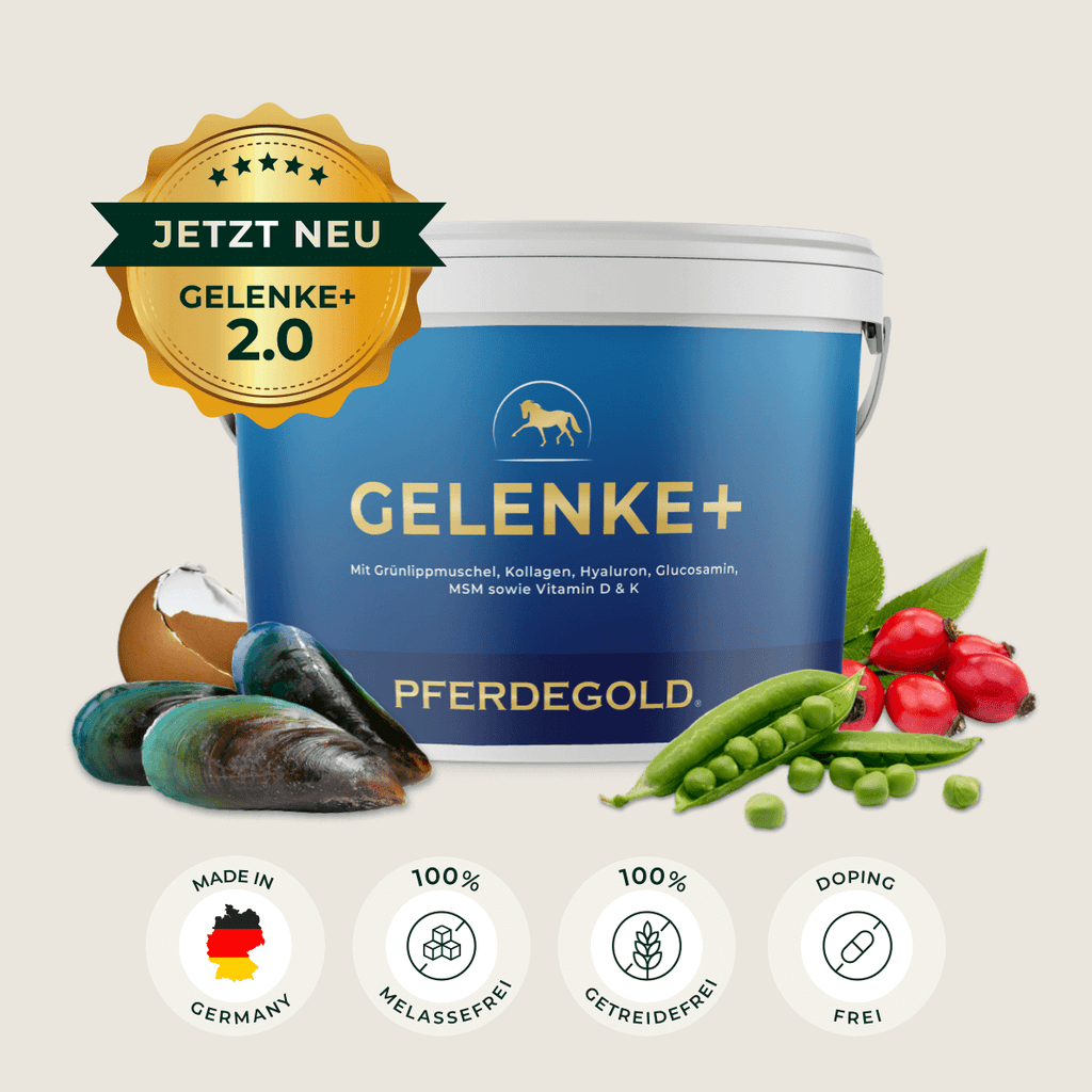 Pferdegold® Gelenke+ 2.0 – Gelenknahrung für Pferde mit Omega 3
