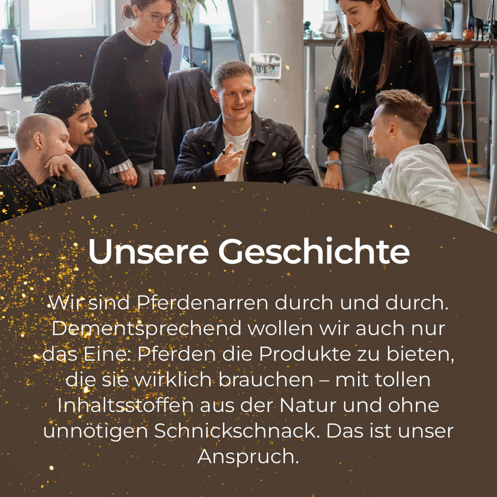 Pferdegold® Haut & Fell – Ergänzungsfutter für Fell & Haut des Pferdes mit Biotin & Zink
