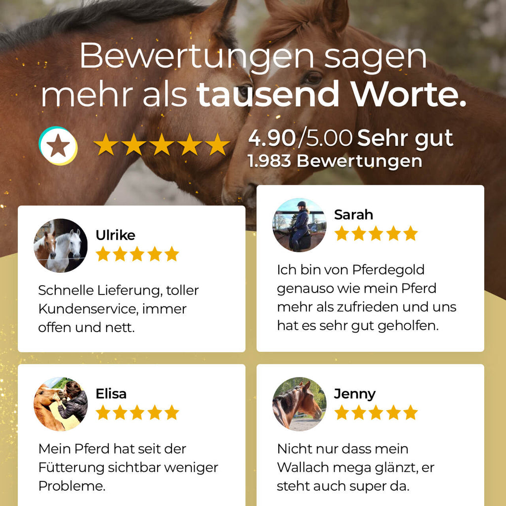 Pferdegold® Haut & Fell Spray – Fellpflege-Spray für Pferde 1 L