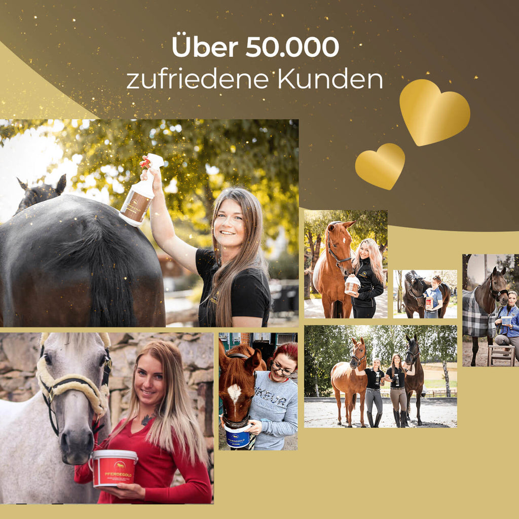 Pferdegold® Haut & Fell Spray – Fellpflege-Spray für Pferde 1 L