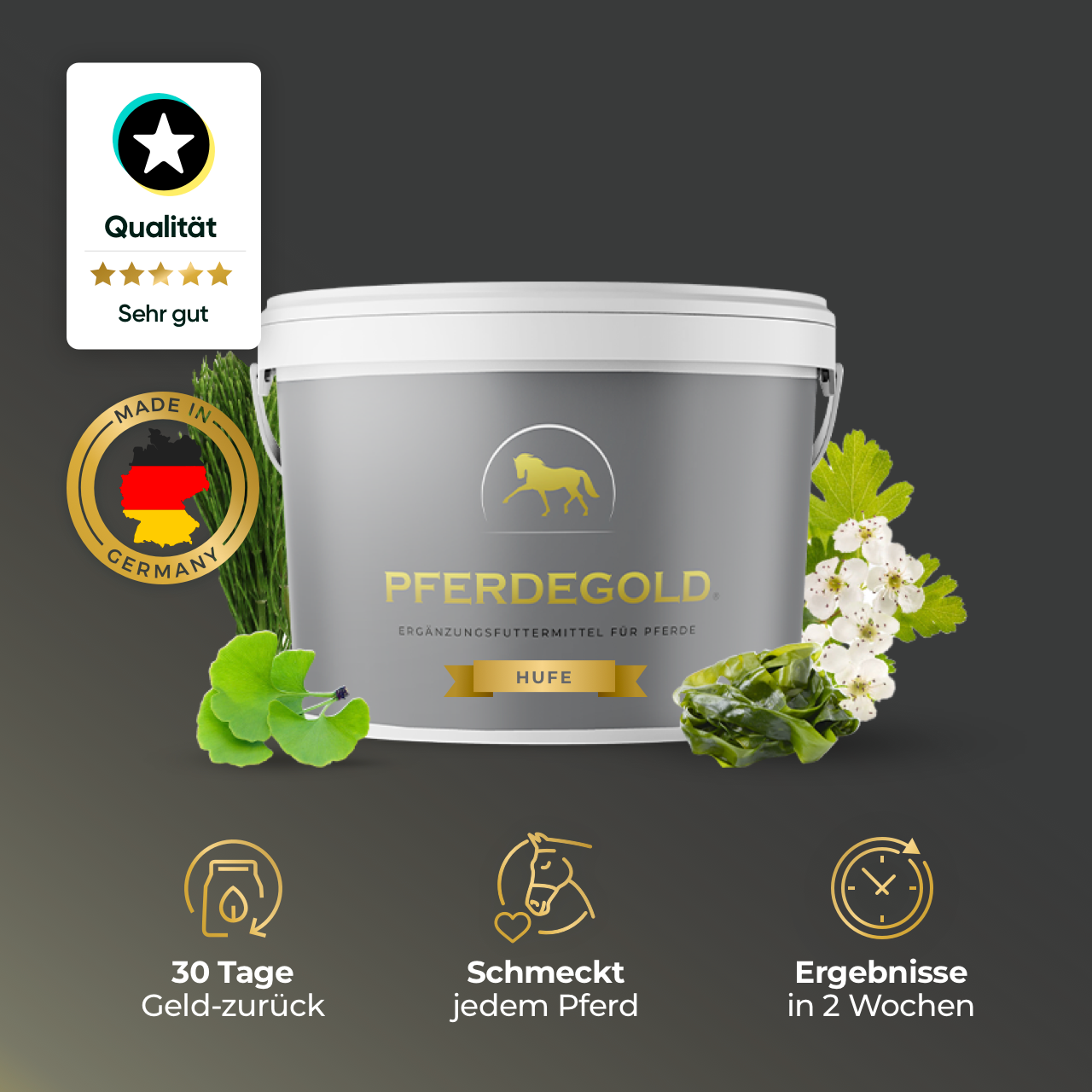 Pferdegold® Hufe – Ergänzungsfutter für gesunde Pferdehufe mit Biotin & Zink