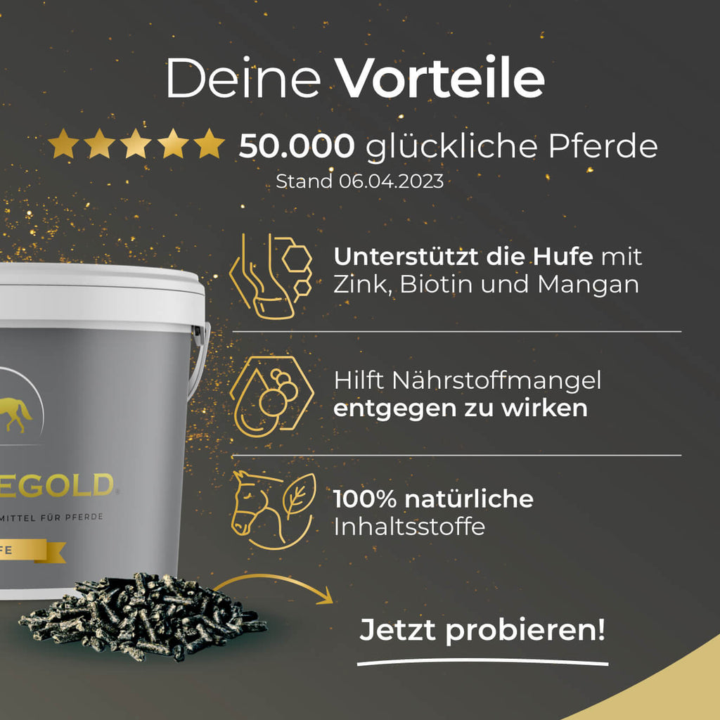 Pferdegold® Hufe – Ergänzungsfutter für gesunde Pferdehufe mit Biotin & Zink