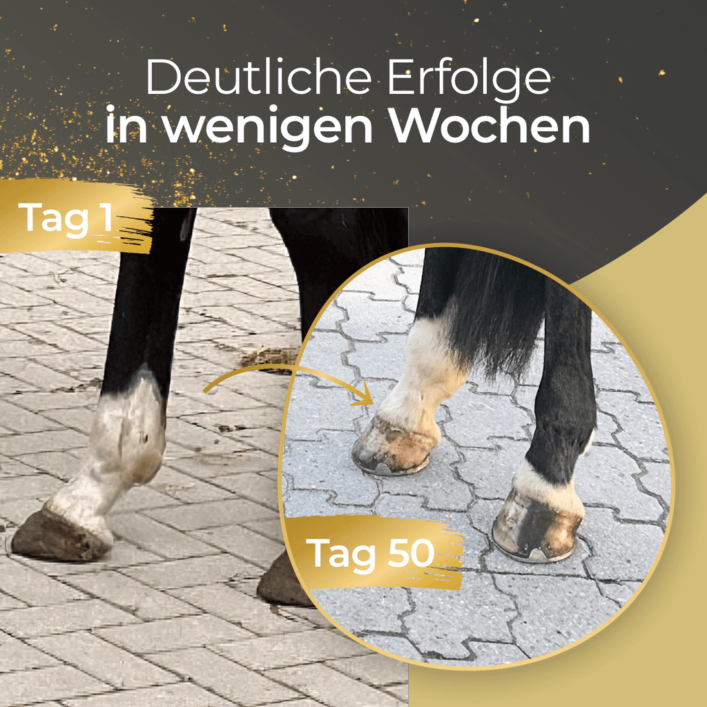 Pferdegold® Hufe – Ergänzungsfutter für gesunde Pferdehufe mit Biotin & Zink