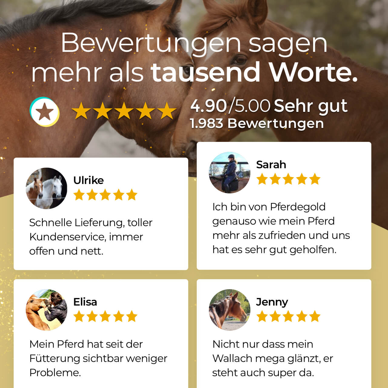 Pferdegold® Hufe – Ergänzungsfutter für gesunde Pferdehufe mit Biotin & Zink