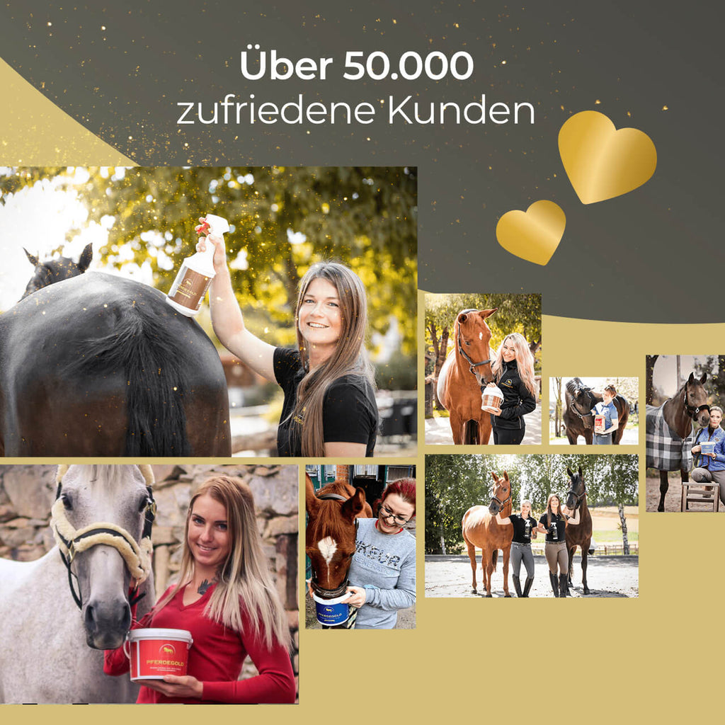 Pferdegold® Hufe – Ergänzungsfutter für gesunde Pferdehufe mit Biotin & Zink