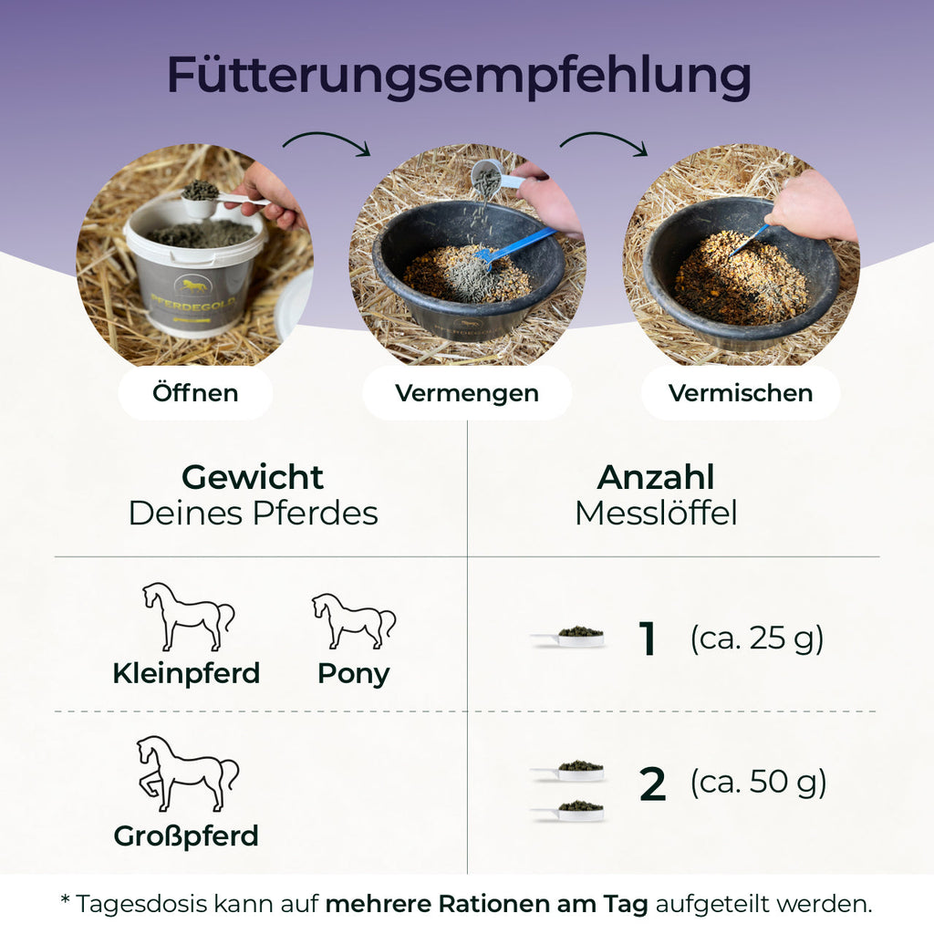 Pferdegold® Magnesium – Dreifach-Magnesium-Formel für Pferde 1,5 kg