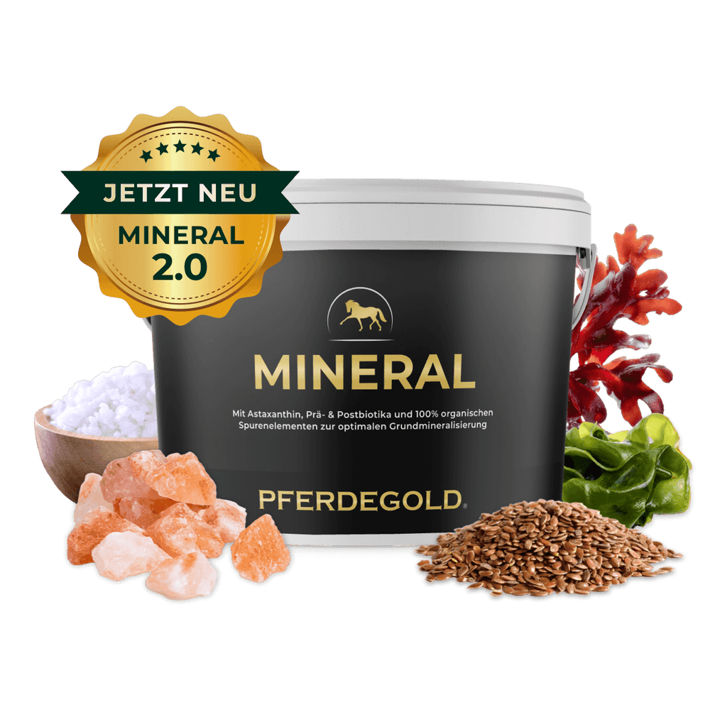 Pferdegold® Mineral 2.0 – Mineralfutter für Pferde mit Spurenelementen & Omega 3