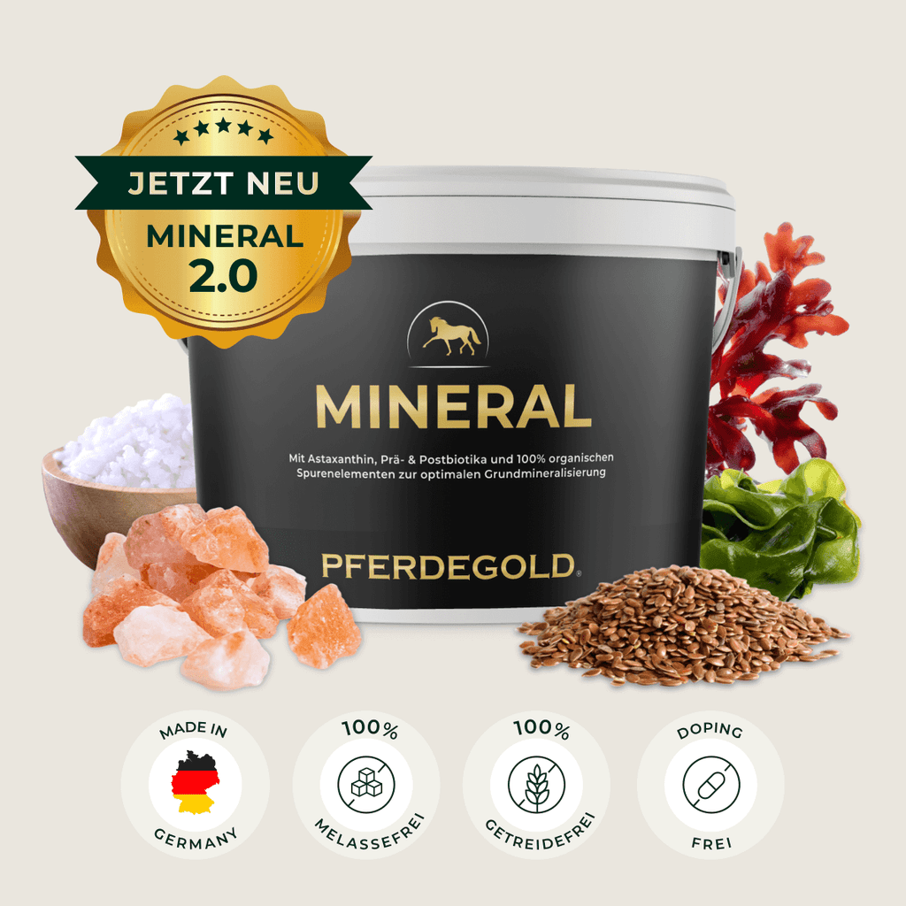Pferdegold® Mineral 2.0 – Mineralfutter für Pferde mit Spurenelementen & Omega 3