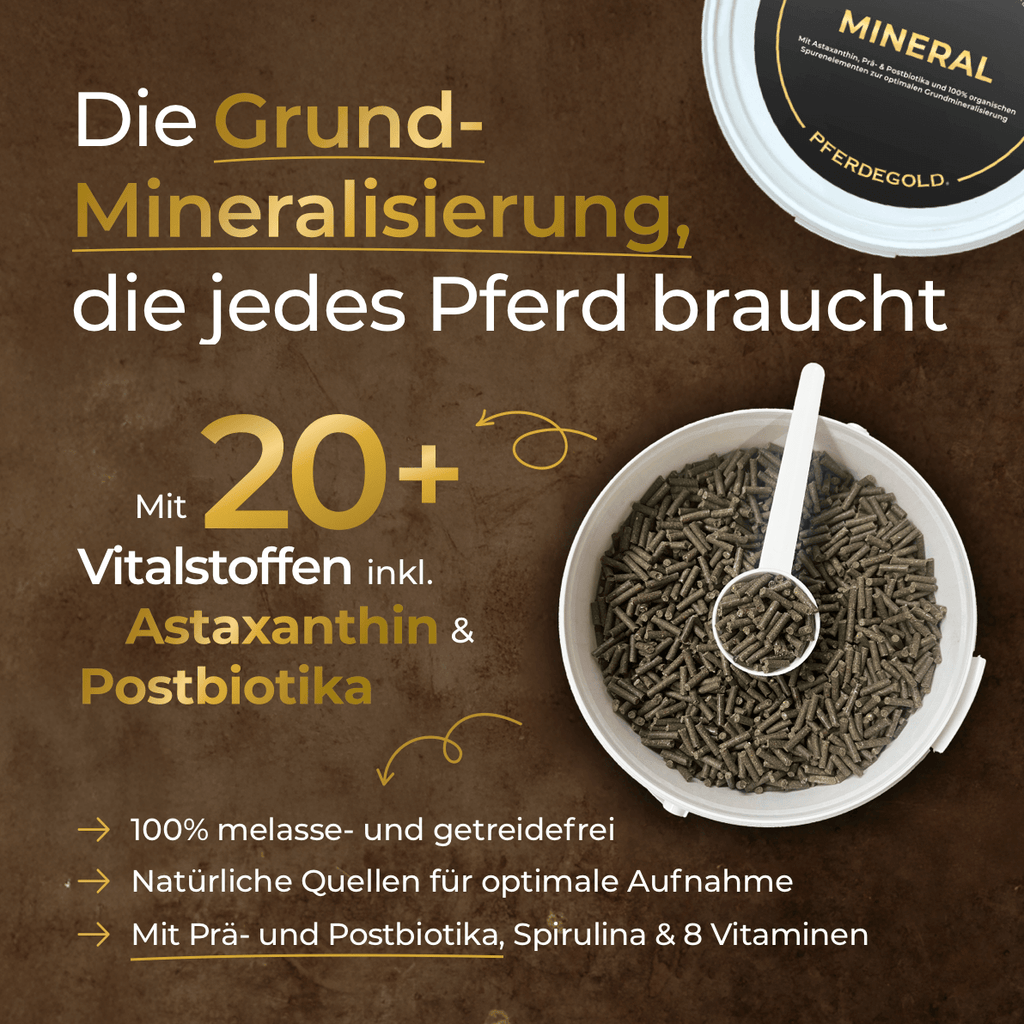 Pferdegold® Mineral 2.0 – Mineralfutter für Pferde mit Spurenelementen & Omega 3
