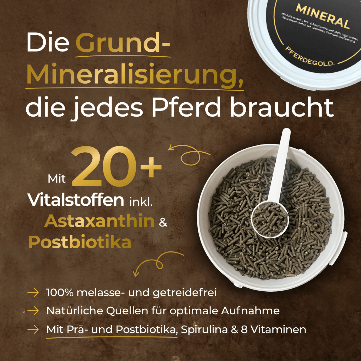 Pferdegold® Mineral 2.0 – Mineralfutter für Pferde mit Spurenelementen & Omega 3