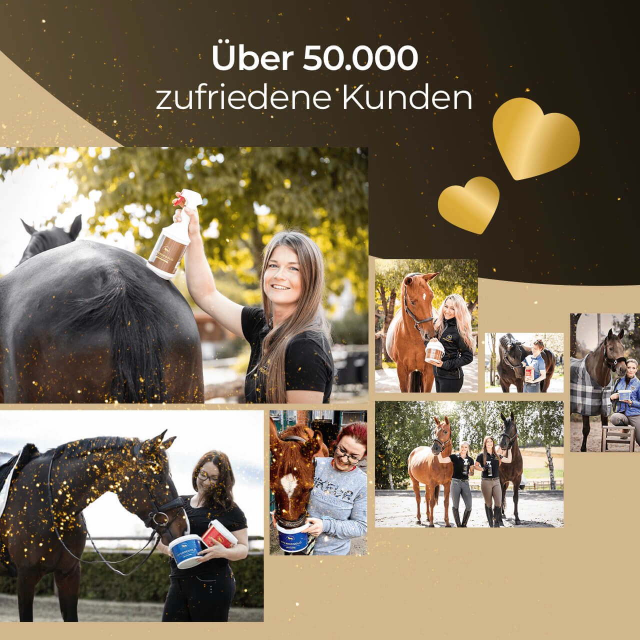 Pferdegold® Massagestriegel – Fellpflege & Striegel für Pferde