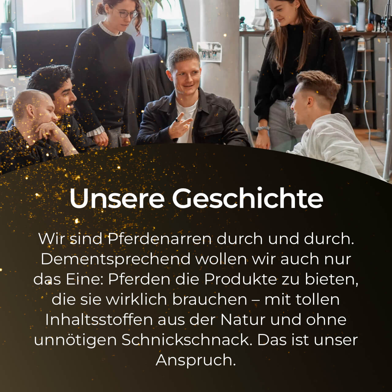 Pferdegold® Massagestriegel – Fellpflege & Striegel für Pferde