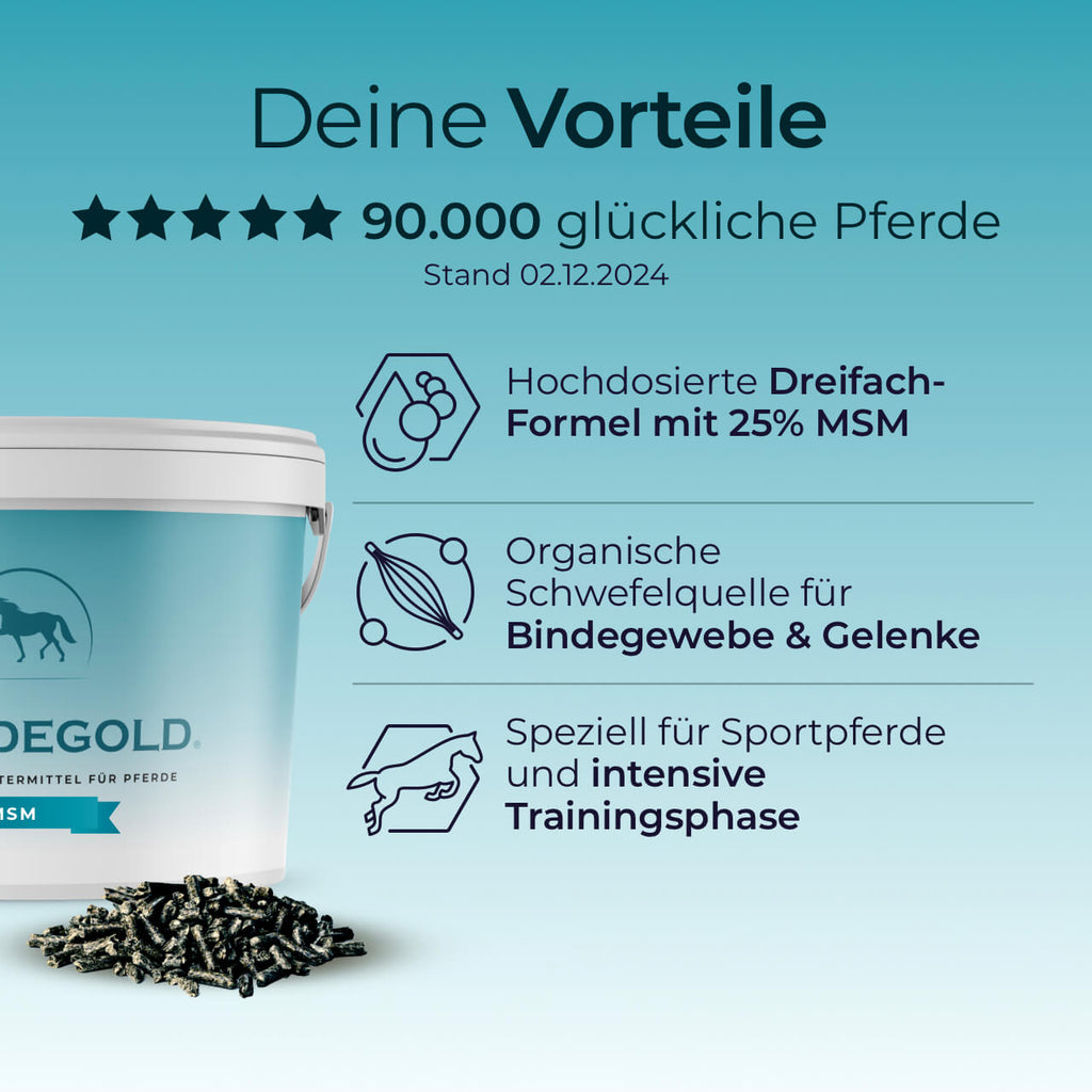 Pferdegold® MSM – Organischer Schwefel für Gelenke & Bindegewebe beim Pferd 1,5 kg