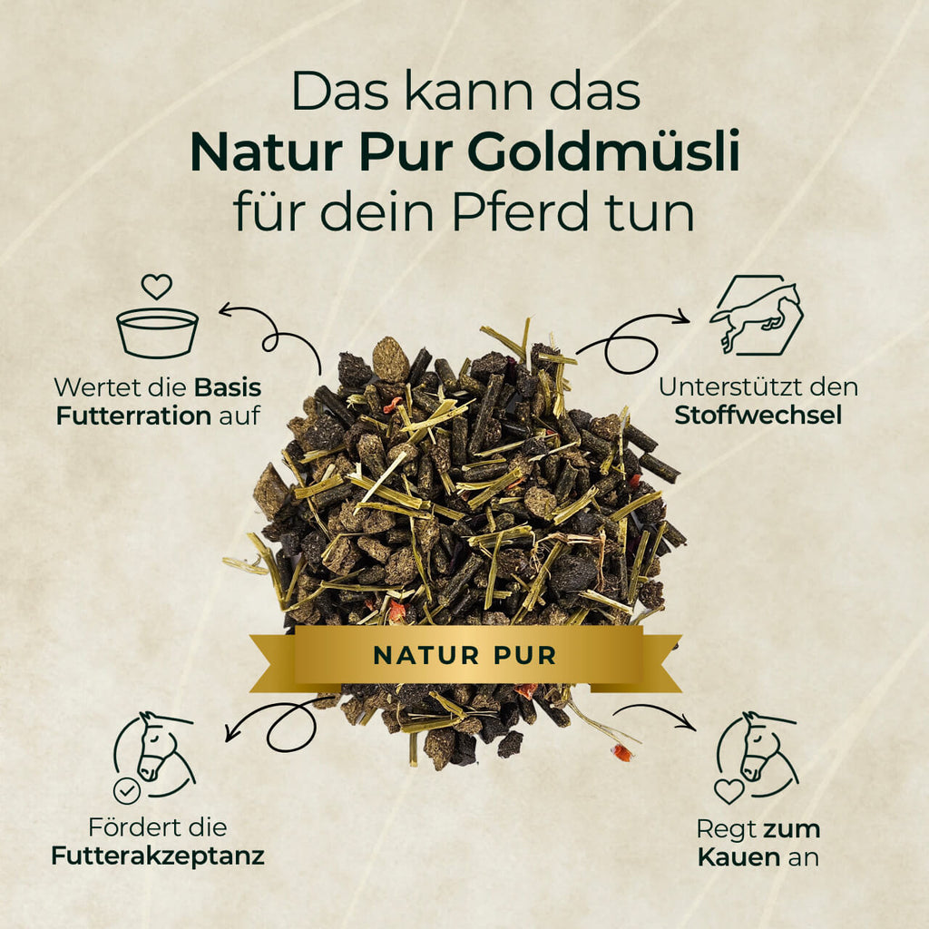 Pferdegold® Goldmüsli® Natur Pur – Getreidefreies Müsli für Pferde jeden Alters