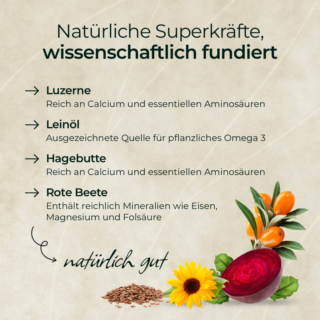 Pferdegold® Goldmüsli® Natur Pur – Getreidefreies Müsli für Pferde jeden Alters