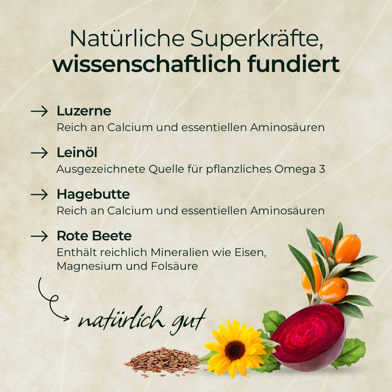 Pferdegold® Goldmüsli® Natur Pur – Getreidefreies Müsli für Pferde jeden Alters
