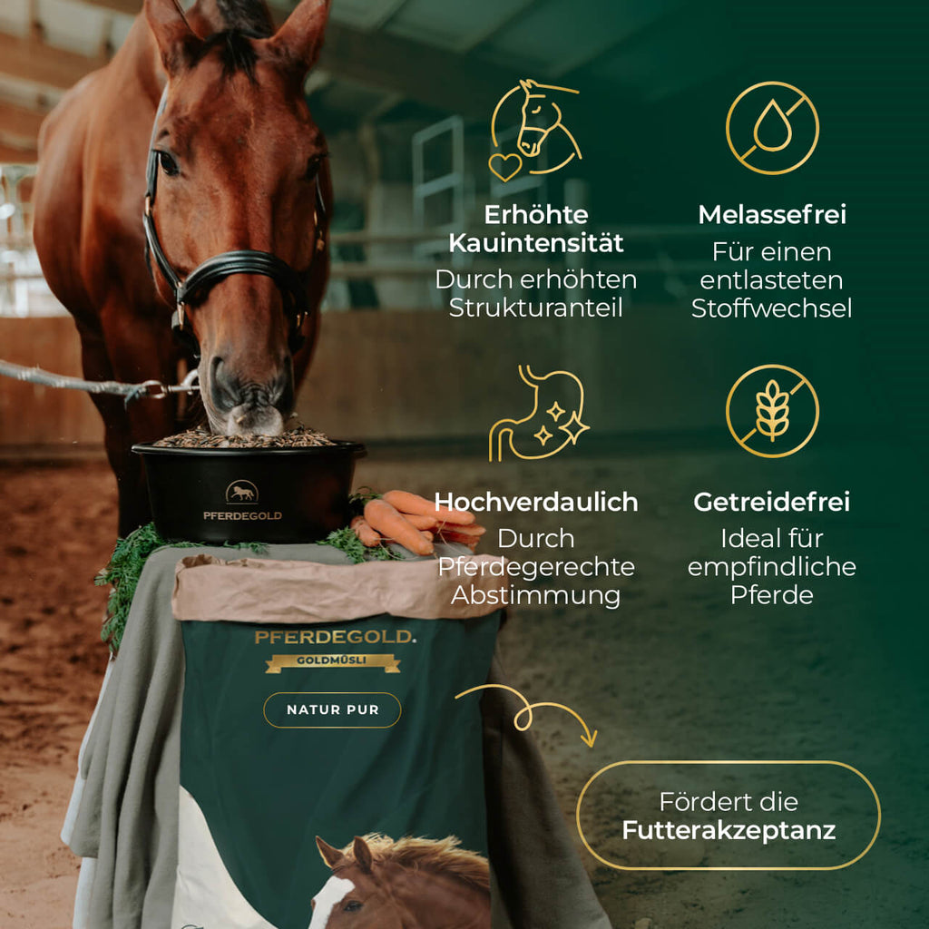 Pferdegold® Goldmüsli® Natur Pur – Getreidefreies Müsli für Pferde jeden Alters