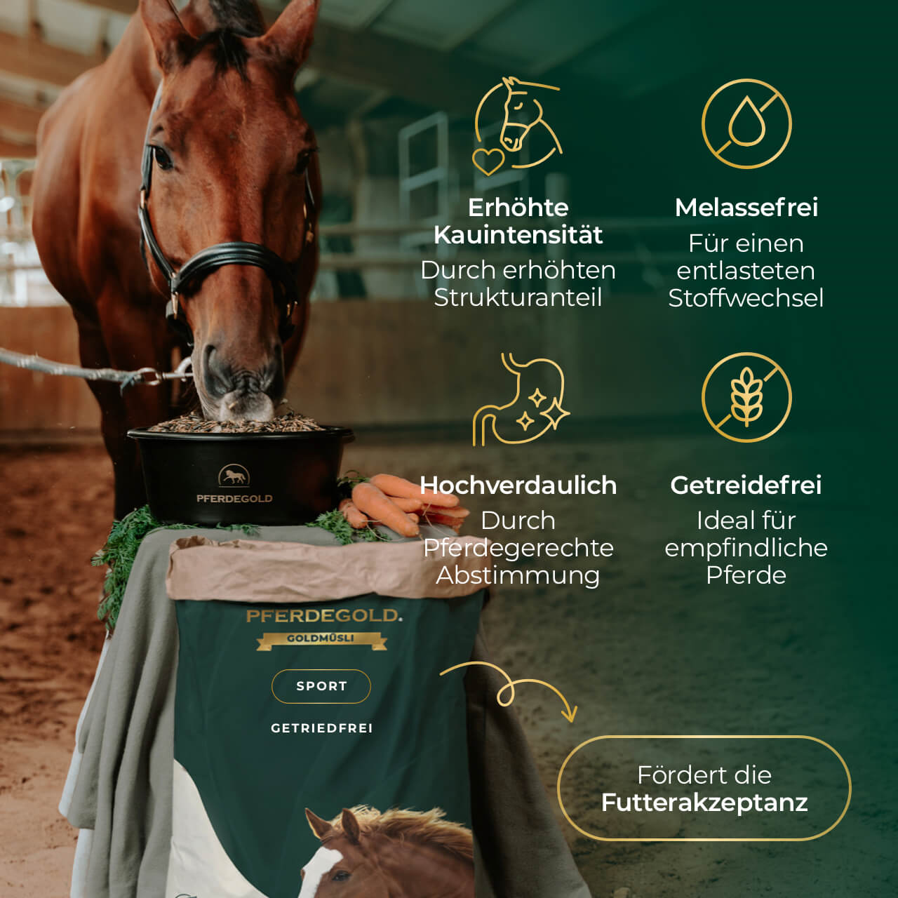 Pferdegold® Goldmüsli® Sport Getreidefrei – Pferdefutter für sportliche Pferde