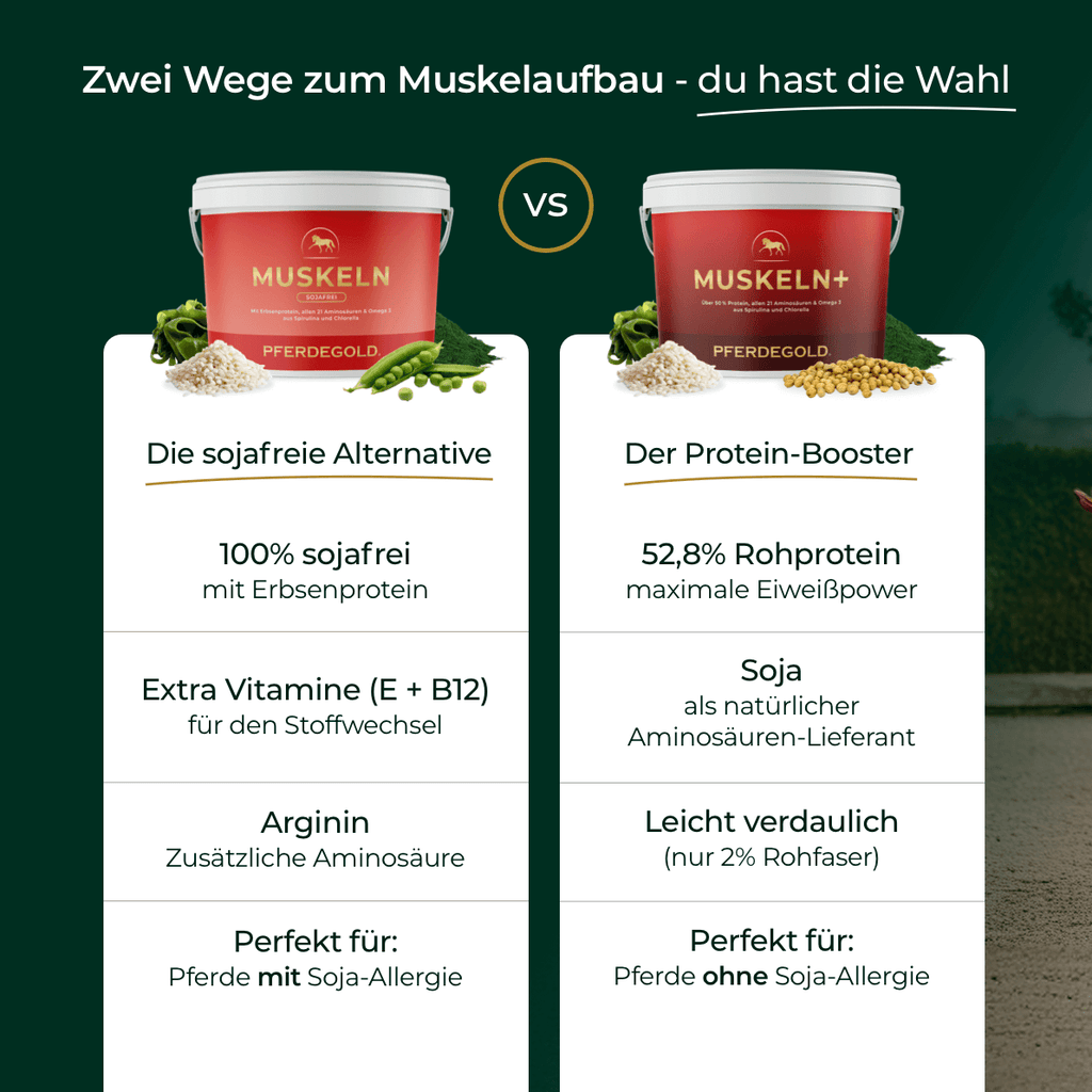 Pferdegold® Muskeln 2.0 Sojafrei – Muskelaufbau-Ergänzung für Pferde 1,5 kg