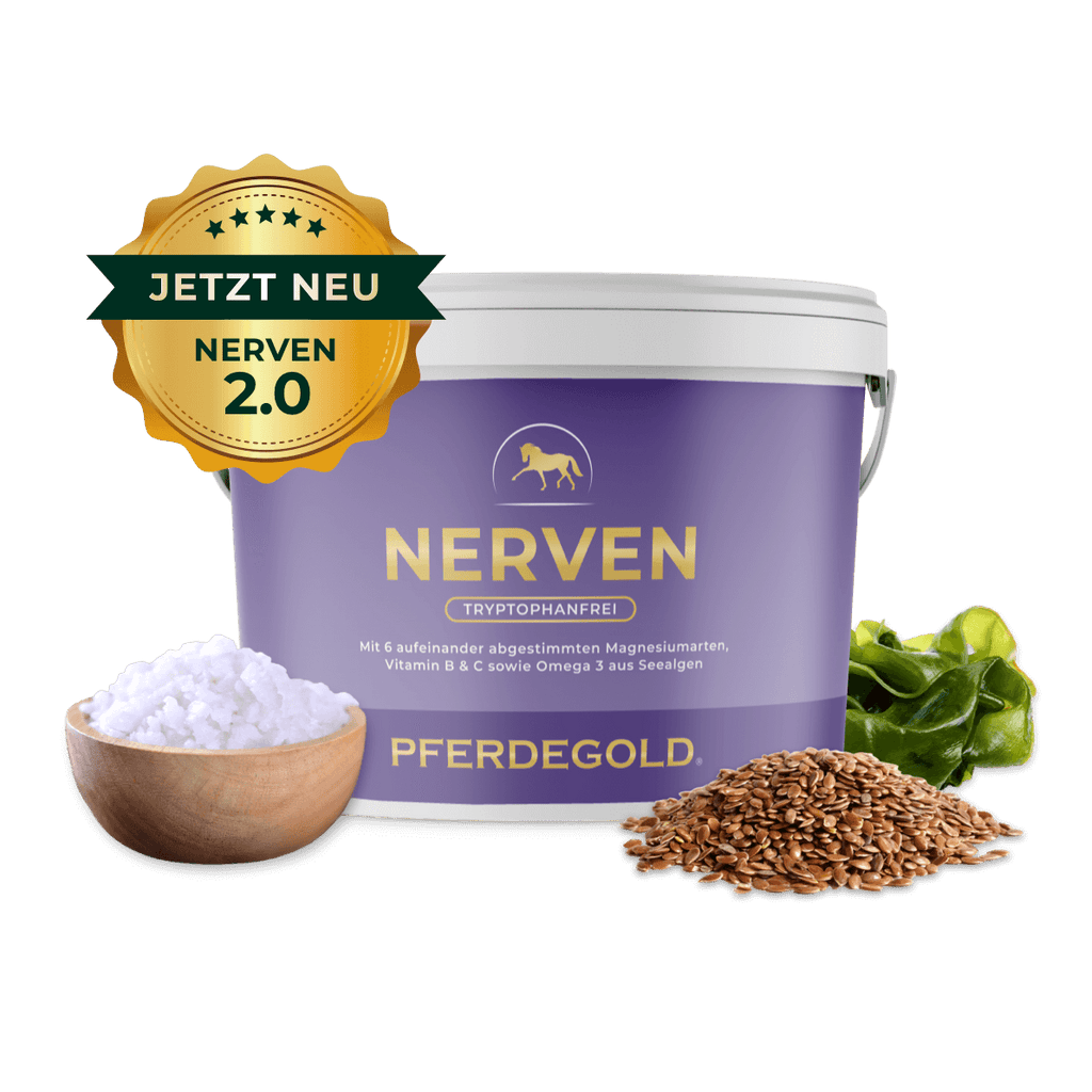 Pferdegold® Nerven 2.0 – Magnesium-Ergänzungsfutter für Pferde