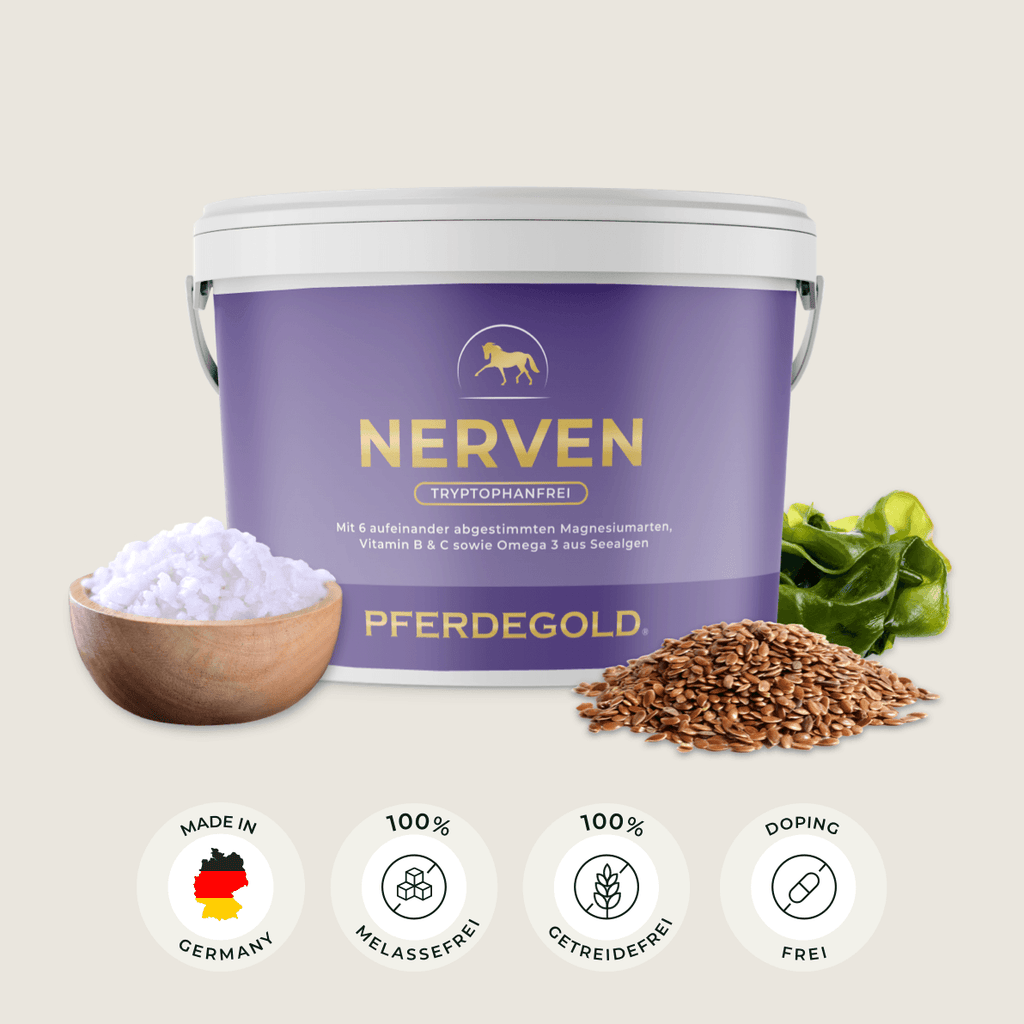 Pferdegold® Nerven 2.0 – Magnesium-Ergänzungsfutter für Pferde