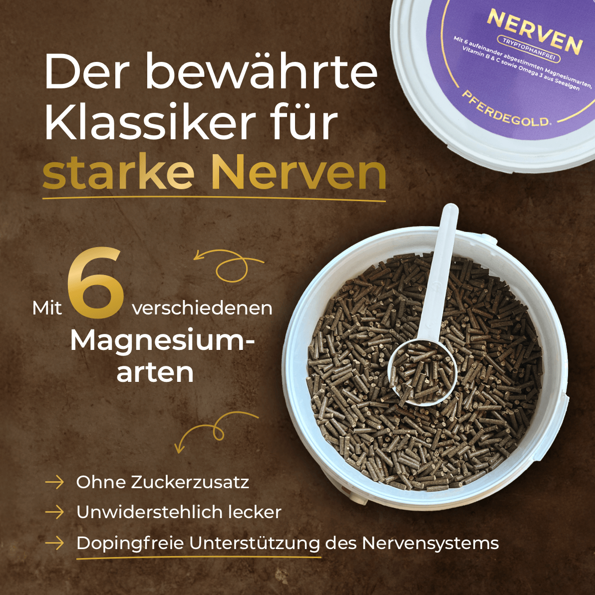 Pferdegold® Nerven 2.0 – Magnesium-Ergänzungsfutter für Pferde
