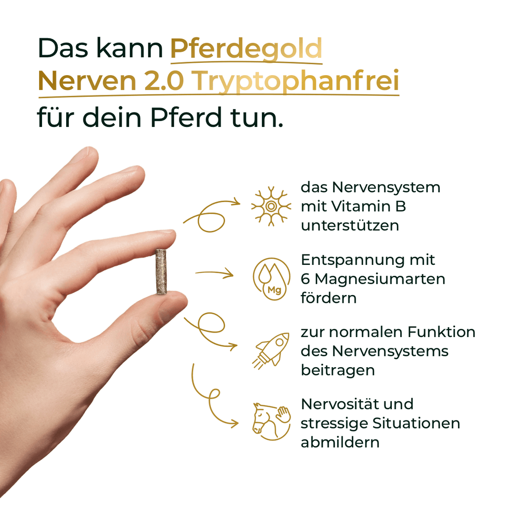 Pferdegold® Nerven 2.0 – Magnesium-Ergänzungsfutter für Pferde