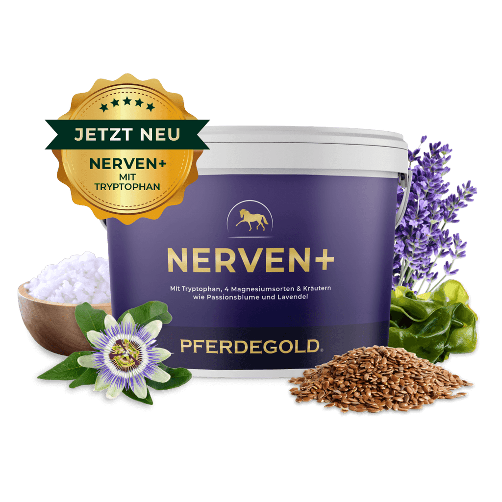 Pferdegold® Nerven+ mit Tryptophan – Ergänzung für nervöse Pferde