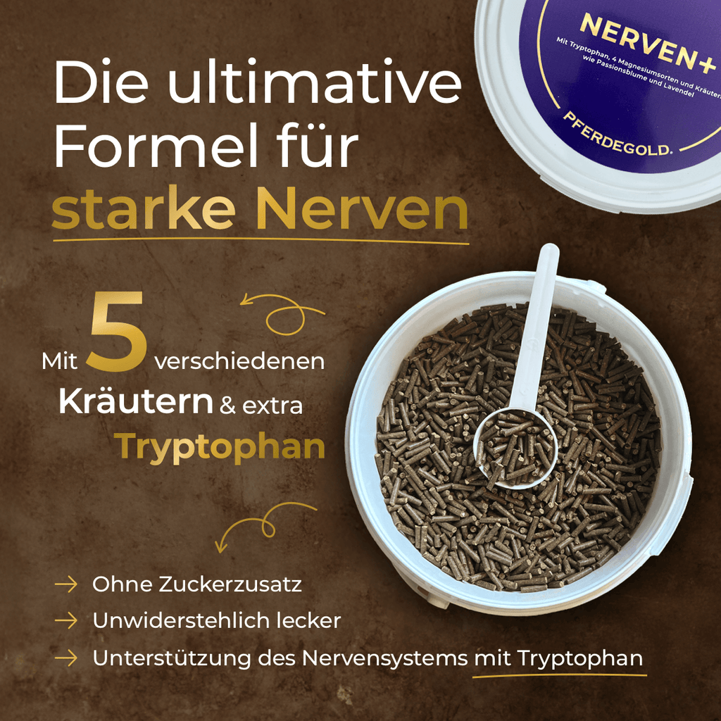 Pferdegold® Nerven+ mit Tryptophan – Ergänzung für nervöse Pferde