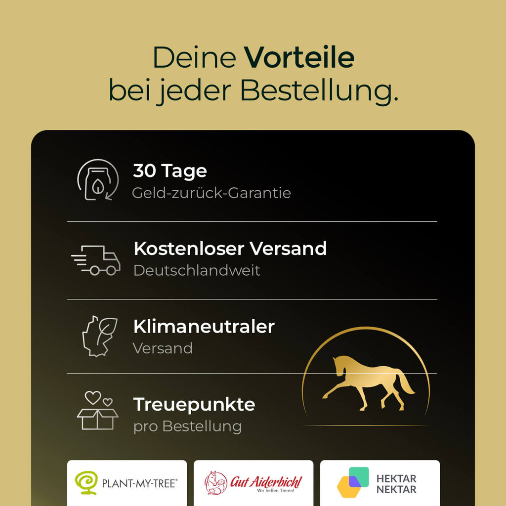 Pferdegold® Futterschüssel mit Deckel – Müslischale für Pferde 5 l