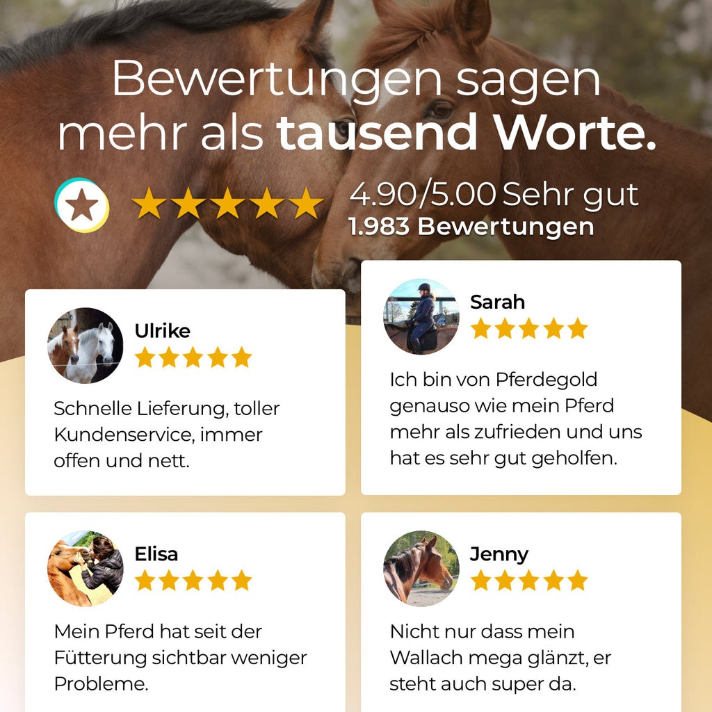 Pferdegold® Selen – Dual-Selen-Formel Ergänzungsfutter für Pferde 1,5 kg