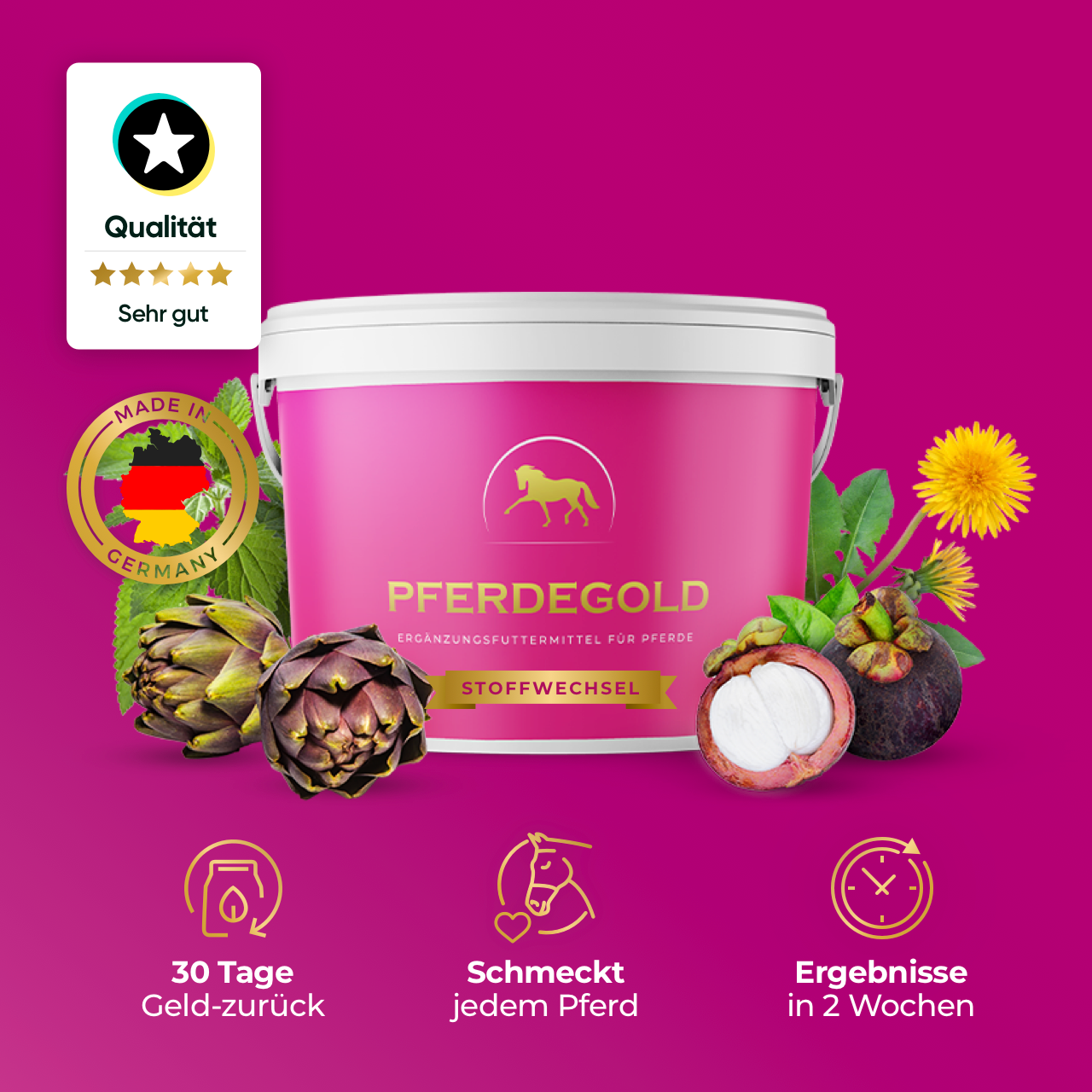 Pferdegold® Stoffwechsel – Ergänzungsfutter für Pferde mit Magnesium & Kräutern