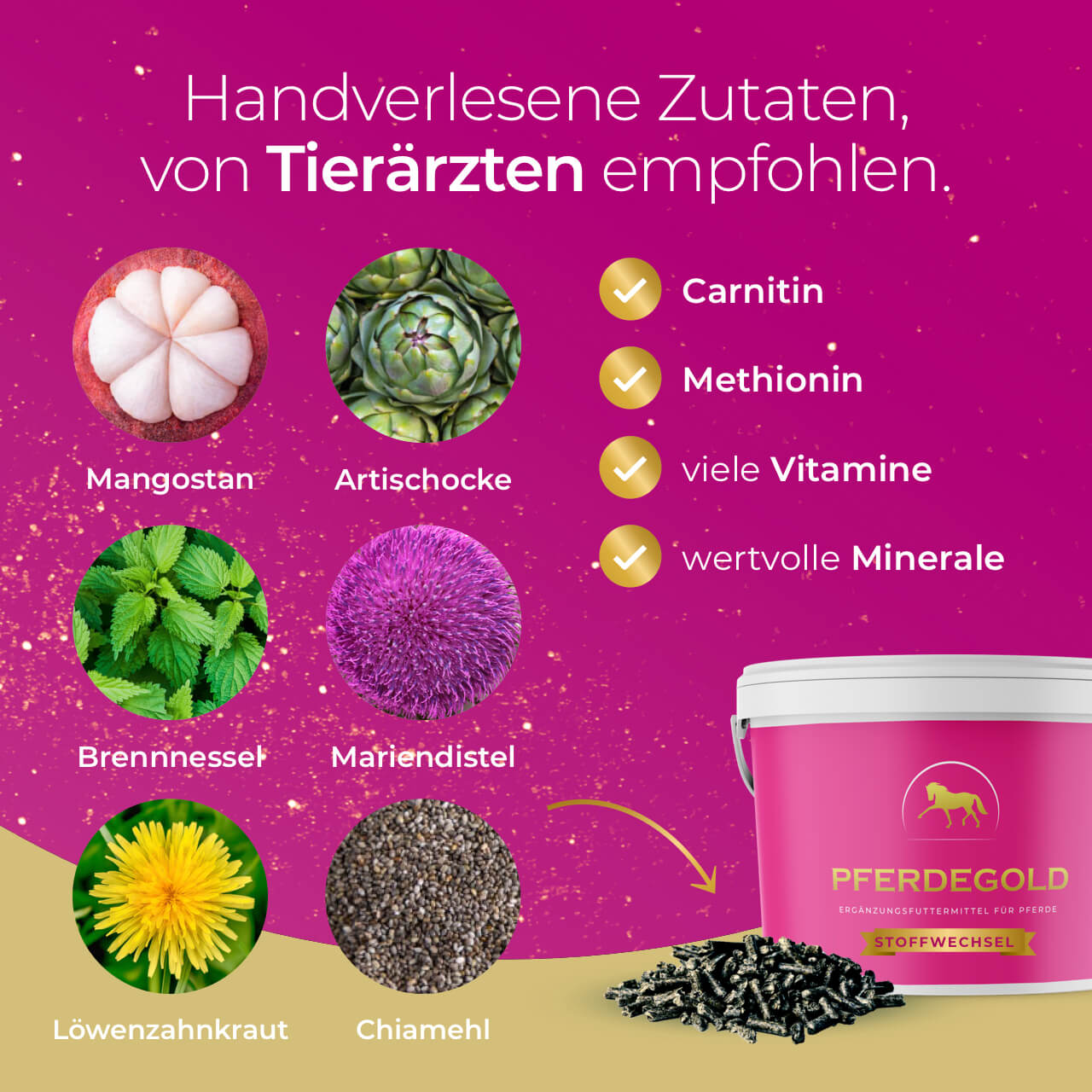 Pferdegold® Stoffwechsel – Ergänzungsfutter für Pferde mit Magnesium & Kräutern