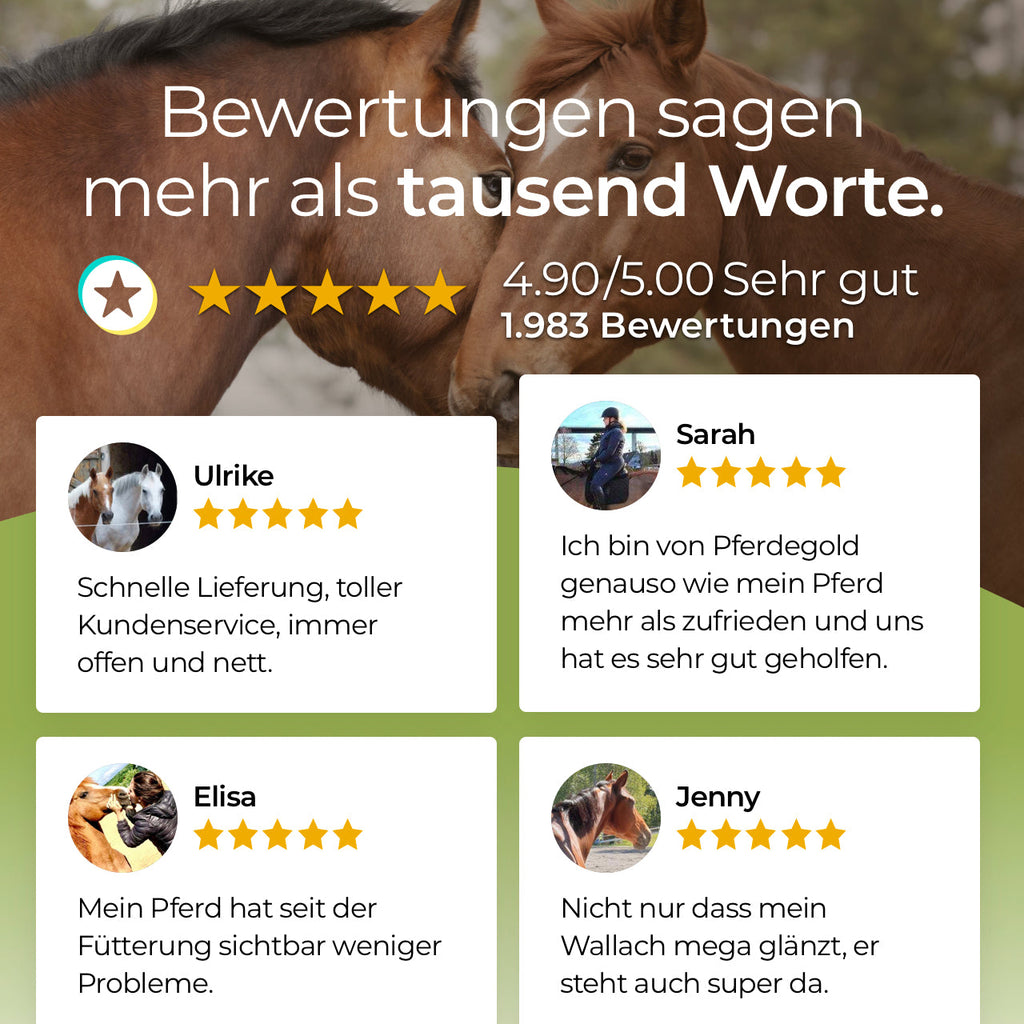 Pferdegold® Zink – Triple-Zink-Formel Ergänzungsfutter für Pferde 1,5 kg